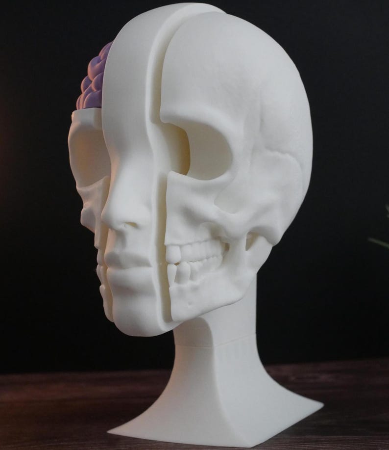 Expositor de calaveras para auriculares: un soporte único para auriculares de gaming, música y coleccionistas. Diseño resistente, elegante y compacto para cualquier configuración.