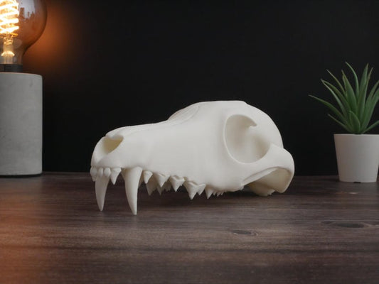 Réplica realista de cráneo de lobo impresa en 3D: decoración animal única, perfecta para el hogar, la oficina o como regalo para coleccionistas.